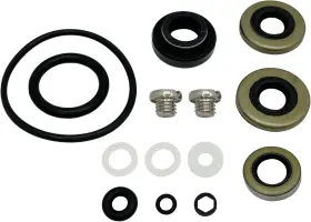 810132345630 A.A Lower Gearcase Seal Drain Screws Kit