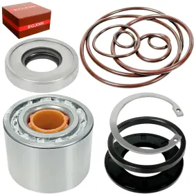 267000030 BIGLKNM Jet Pump Bearing Seal Rebuild Gtr Kit Gti