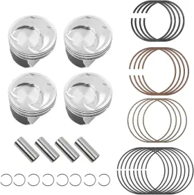 230402 DASBECAN Engine Piston Pin Snap Ring Kit