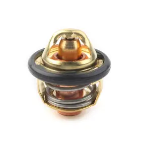 550742580648 EFMOTORSHOP Thermostat Atv Cforce X5 X6 500 600 #2