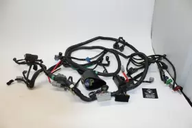 32101-HW3-670 HONDA Engine Wiring Wire Harness F12X R12X