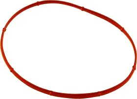 JGI-17369-06 JAMES GASKETS Gasket Derby Cover