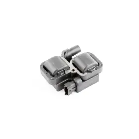 004-179B5 CAN Ignition Coil Am 6X6 Maverick Defender