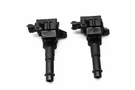 0451978 POLARIS Ignition Coils Msx 110 #3