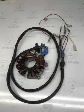 4010403 POLARIS Sltx Updated Ignition Stator Sl 900