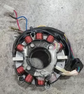 4060128 POLARIS Sltx Magneto Stator