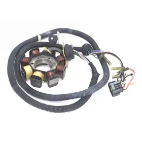004-246-2Z8 YAMAHA Armature Stator Coil Gp Xlt