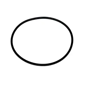 525-02A6 JOHNSON Ring Looper 500 Evinrude