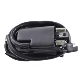 RM06022 RMSTATOR Ignition Coil Sport Carburetor 600 Ski-doo