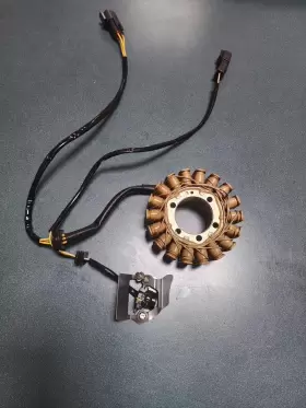 224524338245 SEA-DOO Stator Ignition Generator Wake Rxp Rxt #2