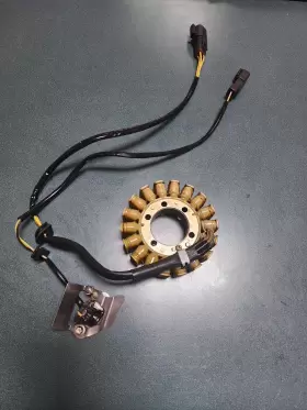 224524338245 SEA-DOO Stator Ignition Generator Wake Rxp Rxt
