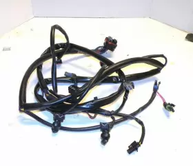278001748 SEA-DOO Engine Harness Rx Di