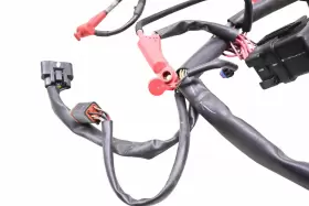 278002648 SEA-DOO Spark Wire Harness Electrical Wiring 900 #2