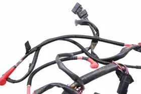 278002648 SEA-DOO Spark Wire Harness Electrical Wiring 900 #3