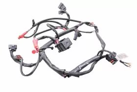 278002648 SEA-DOO Spark Wire Harness Electrical Wiring 900