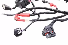 278003423 SEA-DOO Spark Wire Harness Electrical Wiring 900 #2