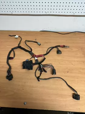 278003702 SEA-DOO Spark Wiring Harness Ho