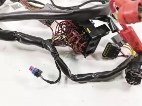420665206 SEA-DOO Wiring Harness Loom Rxt #2