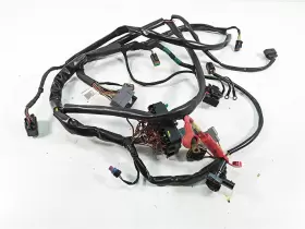 420665206 SEA-DOO Wiring Harness Loom Rxt