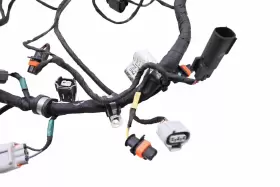 420666250 SEA-DOO Spark Engine Electrical Wiring Harness 900 #3