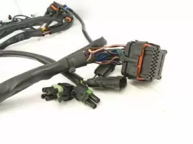 278001485 SEADOO Engine Wiring Harness Front Gtx Di Fi #2