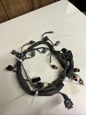 420964120 SEADOO Engine Harness Freshwater Rxt Gtx 300