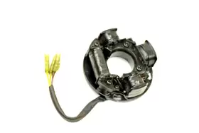 420995109 SEADOO Armature Plate Stator Spi Xpi Pwct Gts Gtx