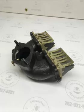 0673-209 TIGERSHARK Intake Manifold Reed Valves Cage Daytona