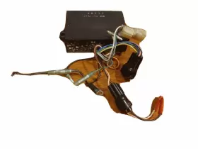 3008-120 TIGERSHARK Cdi Unit Daytona