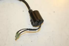 3008-523 TIGERSHARK Ignition Coil Spark Plug Caps TS1000 #3