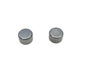 45004786 WESTINGHOUSE Rotator Valve Cap Set Generator