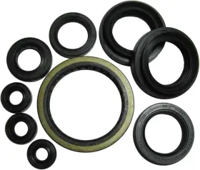 822259 WINDEROSA Vertex Engine Oil Seal Kit Fis 500 4X4