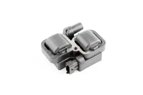 004-179 WSM Ignition Coil