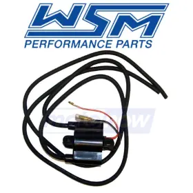 MN-42W6 WSM Ignition Coil Waveblaster Electrical Oc Yamaha