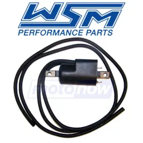 MN-4C49 WSM Ignition Coil Electrical Et Gts Sea-doo
