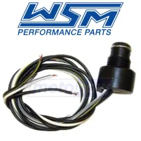 MN-AK0C WSM Kill Switch Electrical Switches Rxt Sea-doo