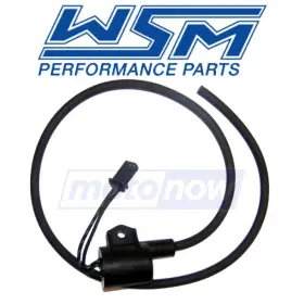 MN-G6B1 WSM Ignition Coil Electrical Ec JT900 900STS Kawasaki