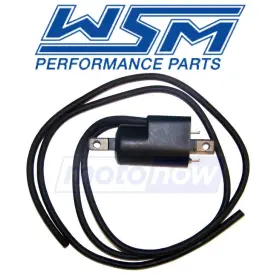 MN-QB2Q WSM Ignition Coil Electrical Gti Sea-doo