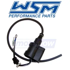 MN-RN62 WSM Ignition Coil Waverunner Electrical Pw GP1200