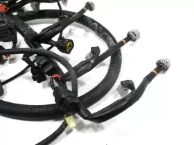 6CN-8259L-10-00 YAMAHA Vxs Waverunner Freshwater Wire Harness #2