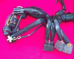 6CS-8259L-20-00 YAMAHA Wire Harness Fx Svho Freshwater Wiring #3