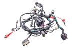 18 Sea-doo Gtx 230 Limited Main Wire Harness Electrical Wiring. Fixed Price $499.99.
