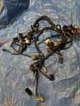 16-18 Yamaha Vx 1050 Main Oem Wire Harness 6ey-8259l-00-00 6ey-8259l-a0-00. Fixed Price $424.95.