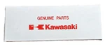 Governor Shaft Seal 8x14x5 Kawasaki #920497019 New Genuine Oem. Fixed Price $3.50.