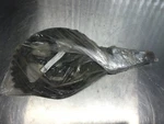 Polaris Virage Reverse Handle Gear Arm 5433871 T007. Fixed Price $7.09.