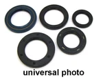 Winderosa 2000-2009 500 Auto Arctic Cat 4 Cycle 822259 Oil Seal Set. Fixed Price $45.24.