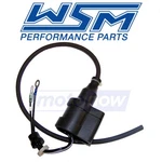 Wsm Ignition Coil For 1997-1999 Yamaha Gp1200 Waverunner - Electrical Pw. Fixed Price $66.46.