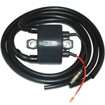 Ignition Coil For Yamaha 6k8-85570-10-00 6k8-85570-19-00. Fixed Price $45.00.
