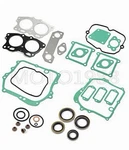 Gasket Seal Rebuild Kit Compatible With Ezgo 295cc 350cc 4 Cycle Gas Golf.... Fixed Price $39.99.