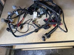 2014-2018 Sea-doo Spark 900 Ho Ace Oem Main Wiring Harness. Fixed Price $299.99.